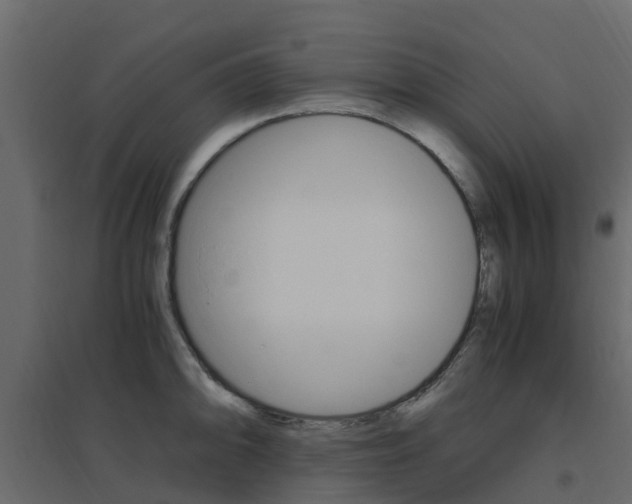 X0000096641094200802050952