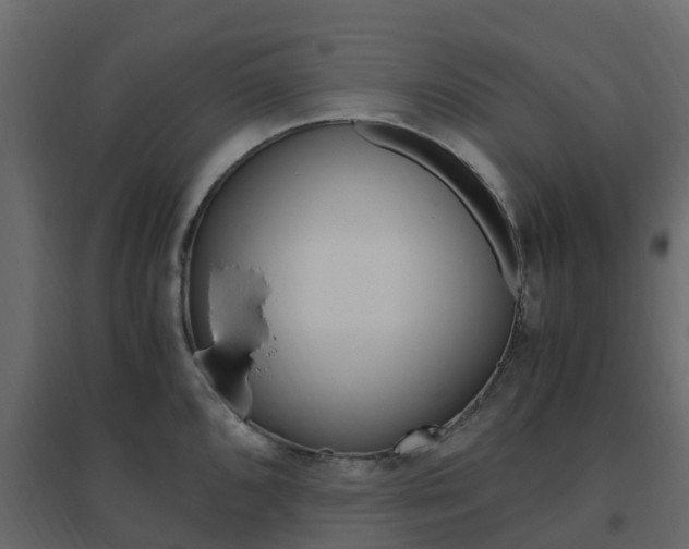X0000096641096200802050952