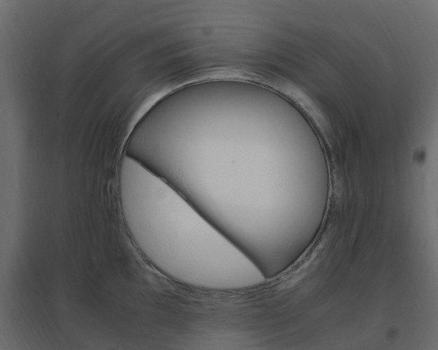 X0000096641097200802050952