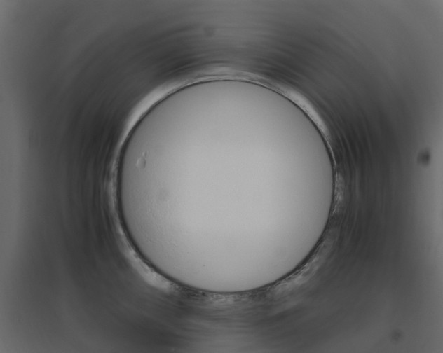 X0000096641098200802050952