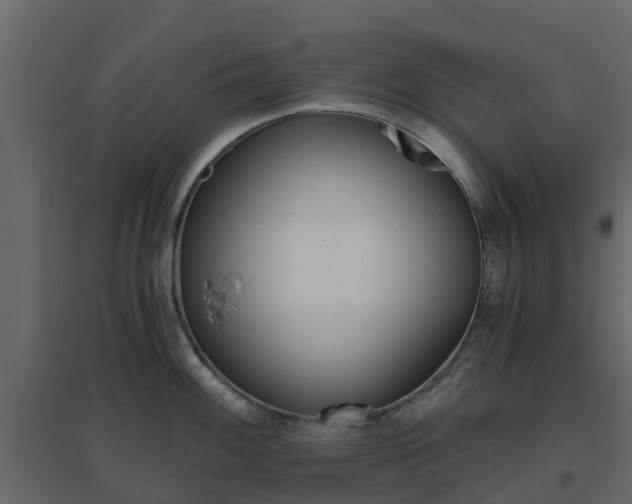 X0000096641100200802050952