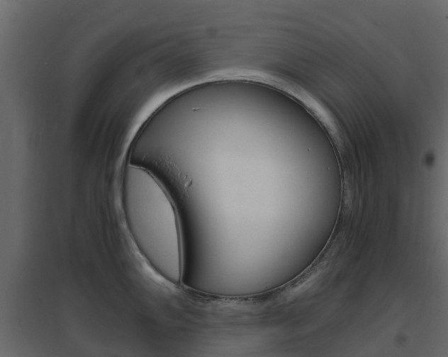 X0000096641102200802050952