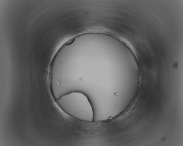 X0000096641103200802050952
