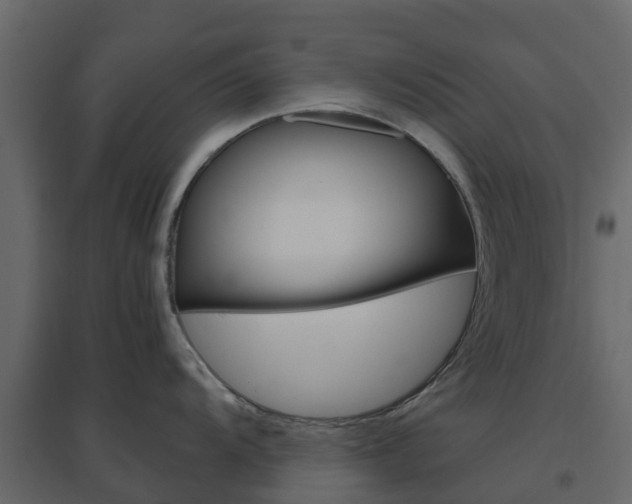 X0000096641104200802050952