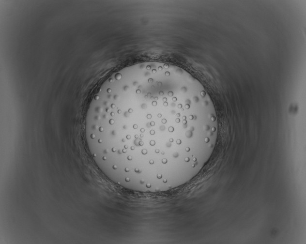 X0000096641105200802050951