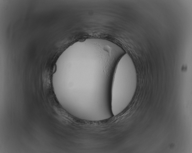 X0000096641106200802050951