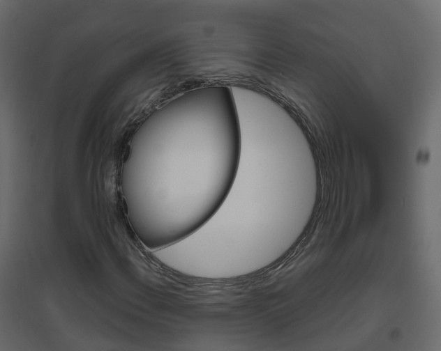 X0000096641108200802050951
