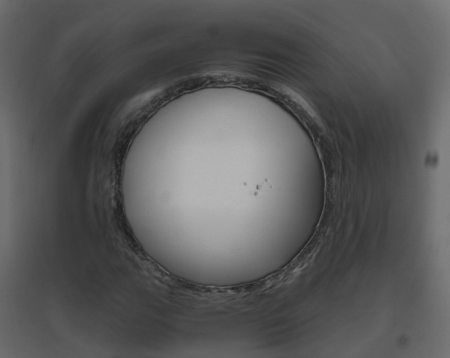 X0000096641111200802050951