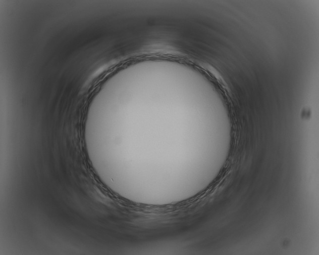 X0000096641112200802050951