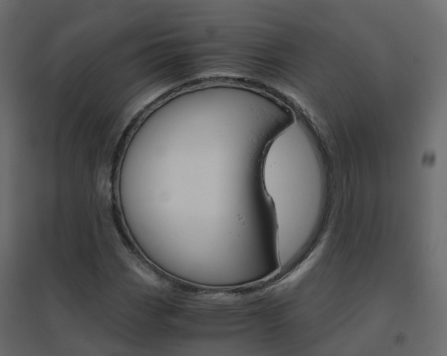 X0000096641113200802050951