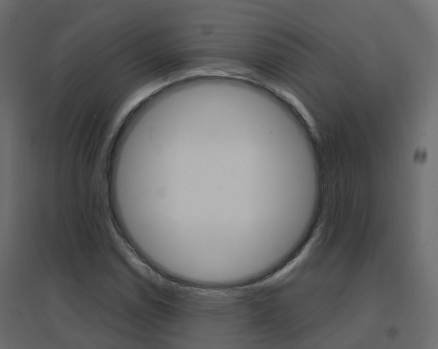 X0000096641114200802050951