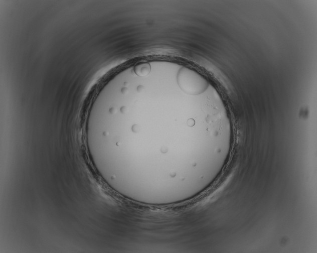 X0000096641117200802050951