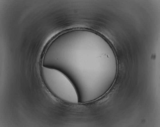X0000096641119200802050951