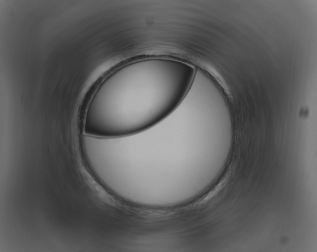 X0000096641122200802050951