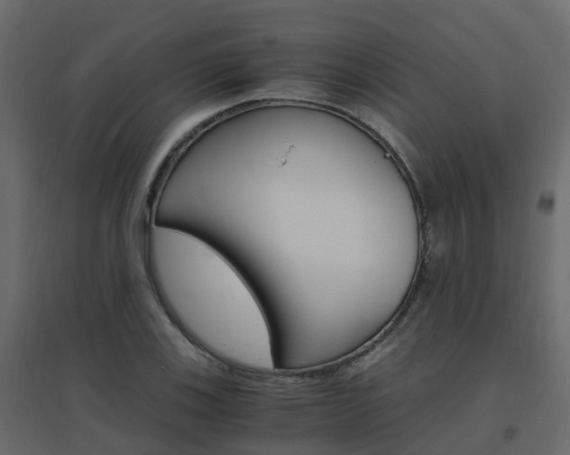 X0000096641123200802050951