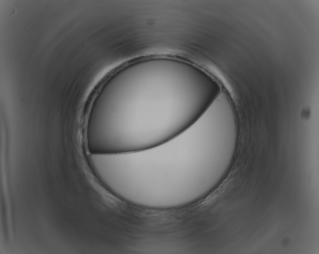 X0000096641124200802050951