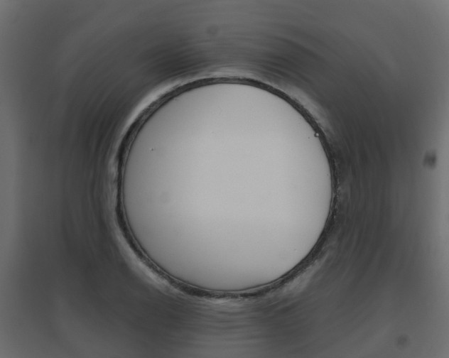 X0000096641126200802050951