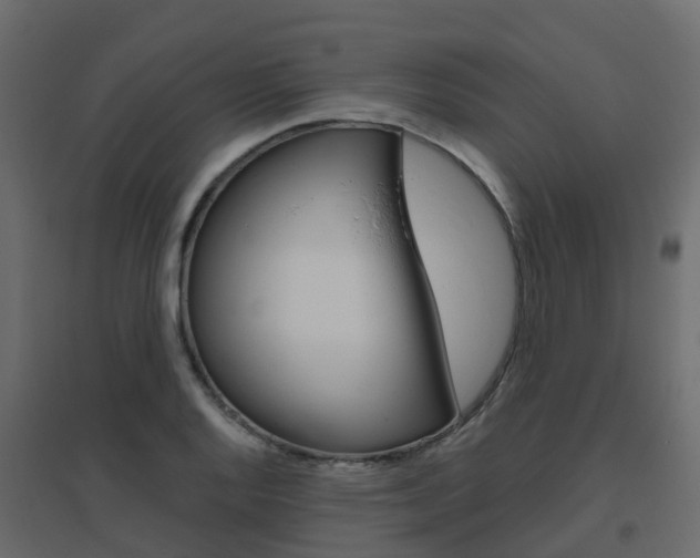 X0000096641128200802050951