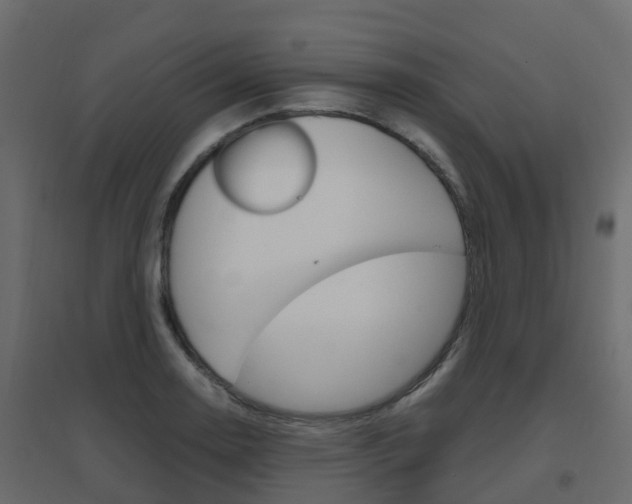 X0000096641130200802050951