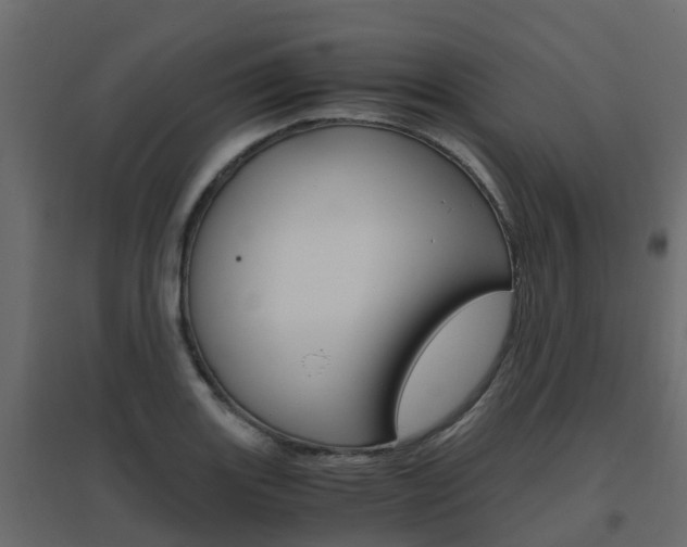 X0000096641131200802050951