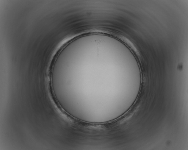 X0000096641133200802050951