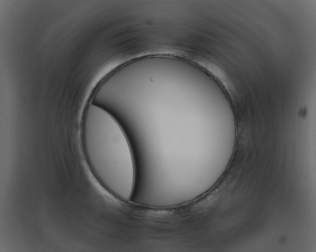 X0000096641135200802050951
