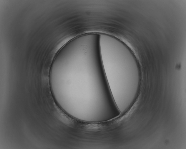 X0000096641137200802050951