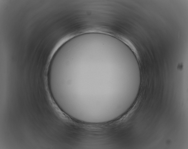 X0000096641138200802050951