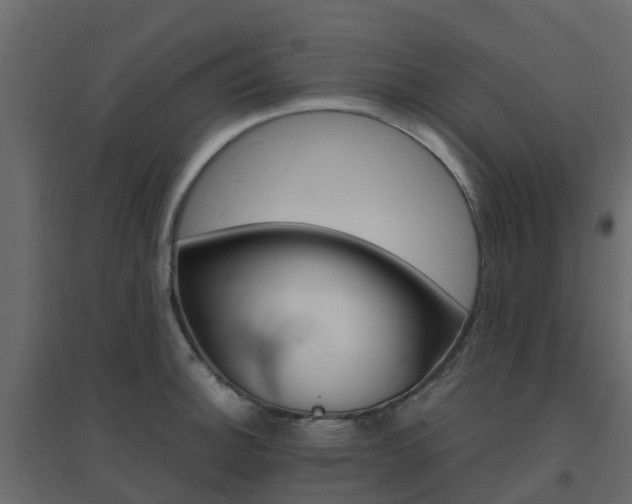 X0000096641140200802050952