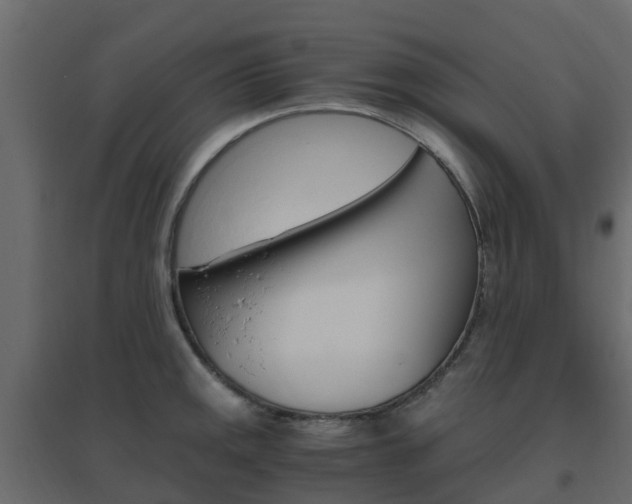 X0000096641141200802050952