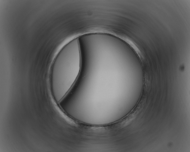 X0000096641142200802050952