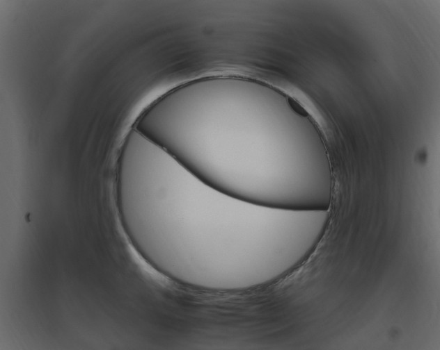 X0000096641143200802050952