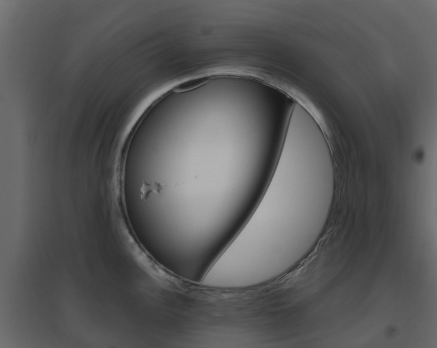 X0000096641148200802050952