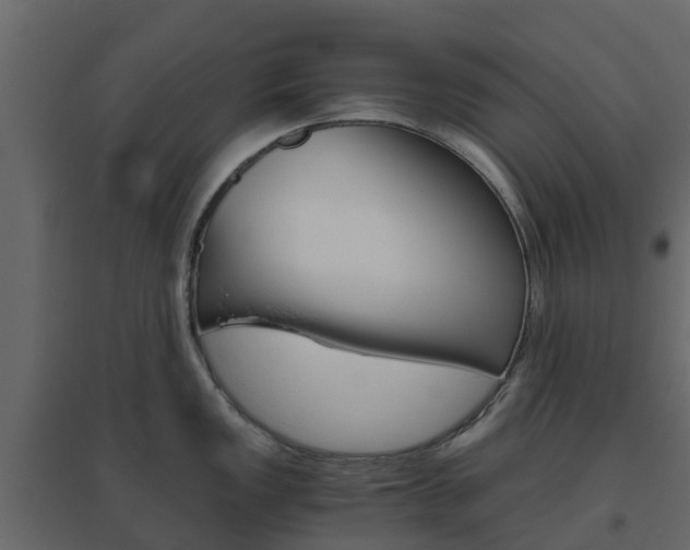 X0000096641149200802050952