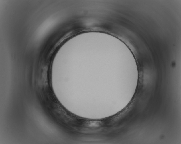 X0000096641150200802050952