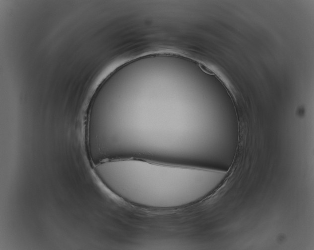 X0000096641151200802050952