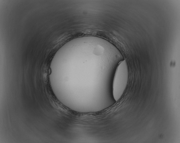 X0000096641154200802050951