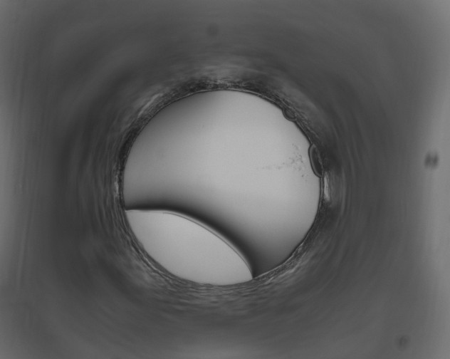 X0000096641155200802050951