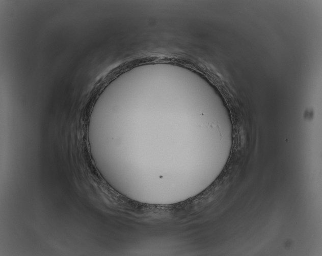 X0000096641158200802050951