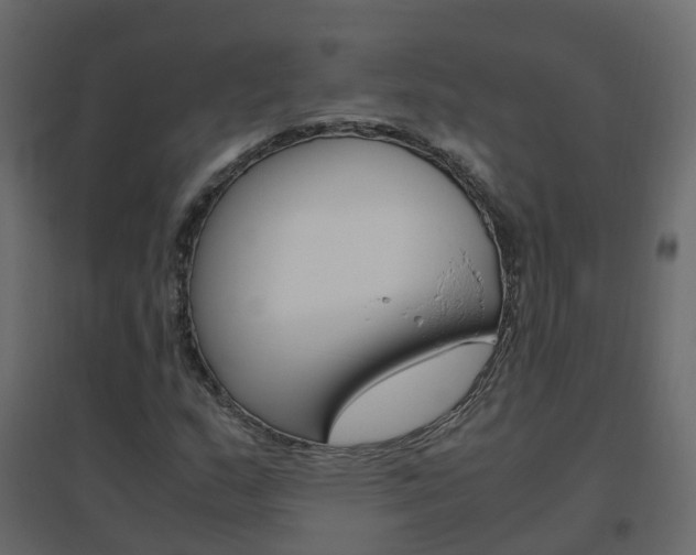 X0000096641159200802050951