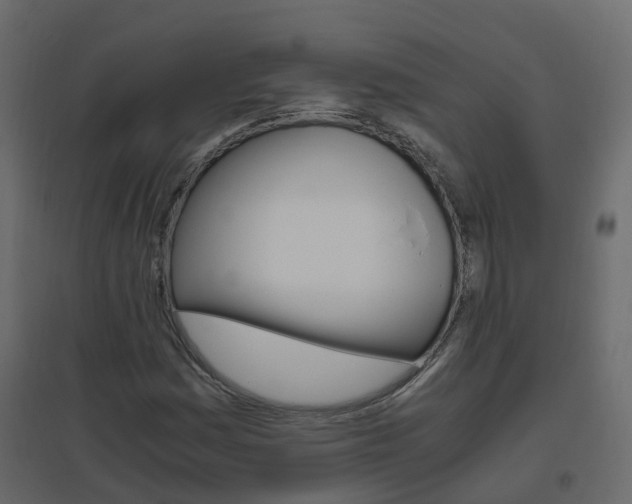 X0000096641161200802050951