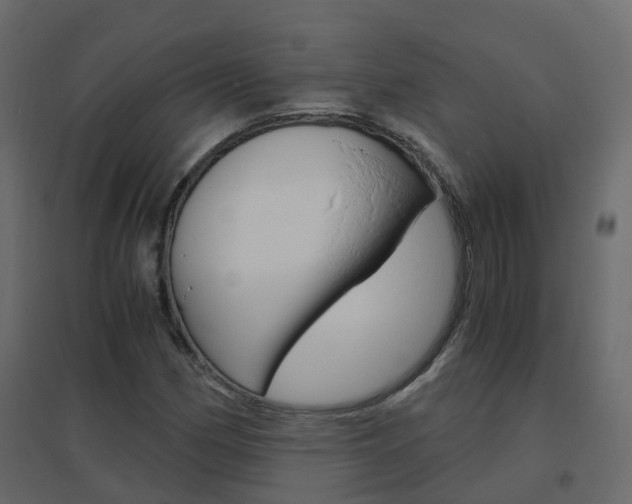 X0000096641162200802050951