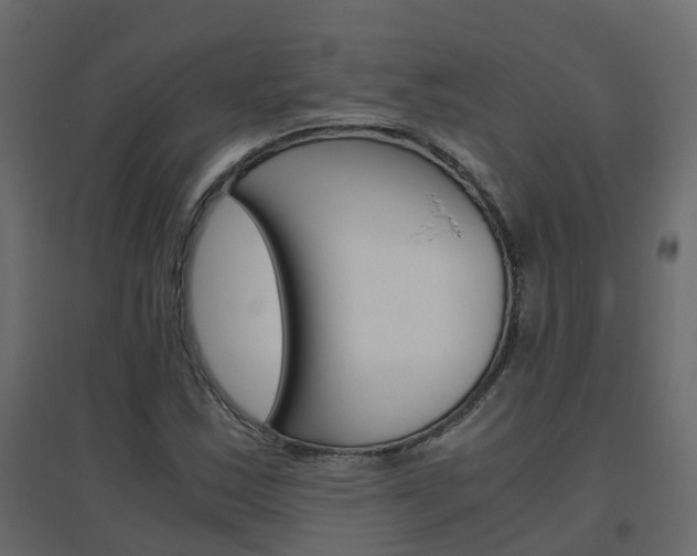 X0000096641163200802050951