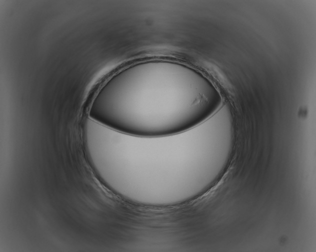 X0000096641164200802050951