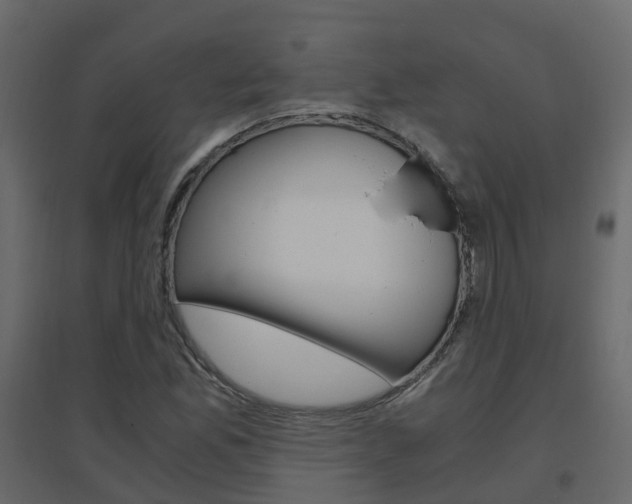 X0000096641165200802050951