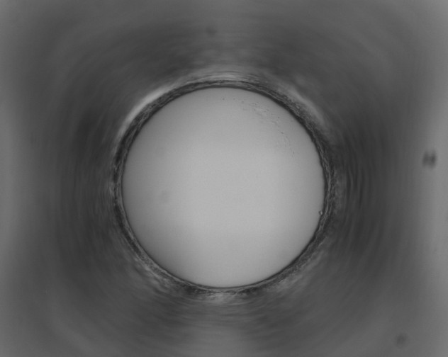 X0000096641166200802050951