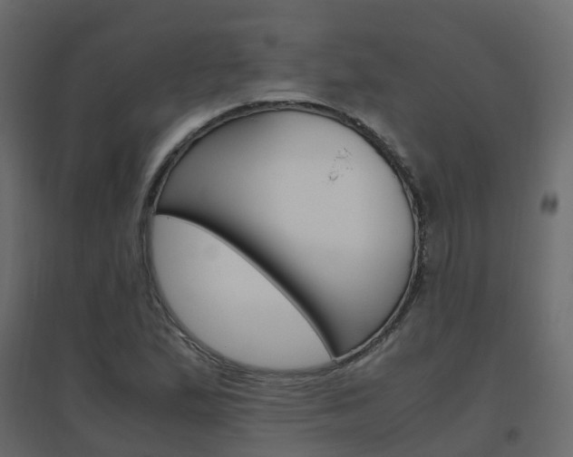 X0000096641167200802050950