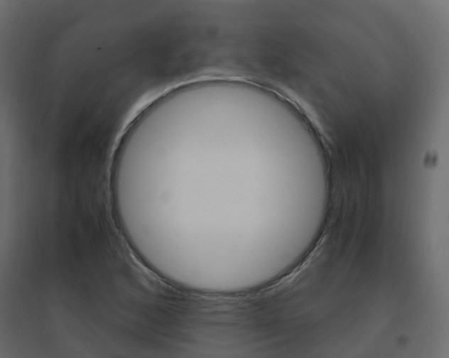 X0000096641168200802050950