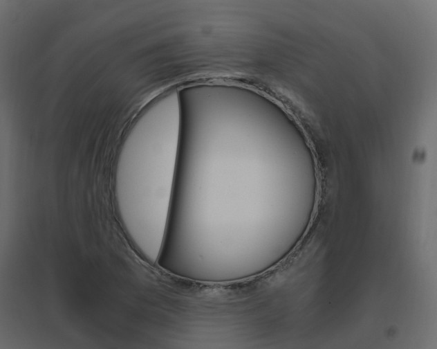 X0000096641169200802050950