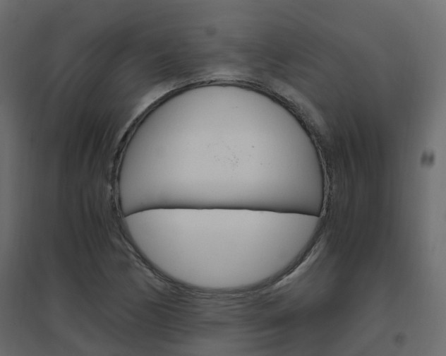 X0000096641170200802050950